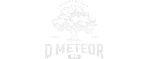 D Meteor 66 Logo